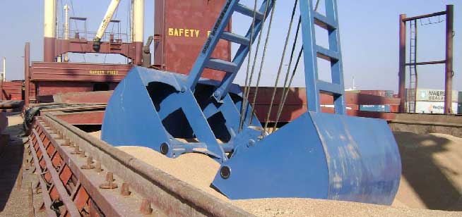 Bulk Cargo