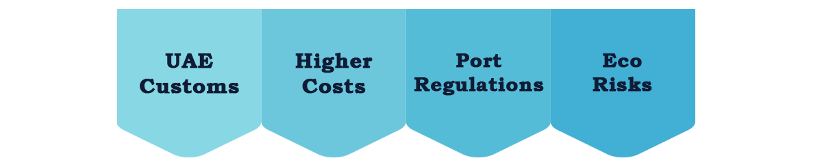 Challenges and Risks