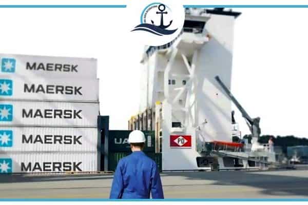 Peter Döhle boosts boxship fleet with four newbuilds in China