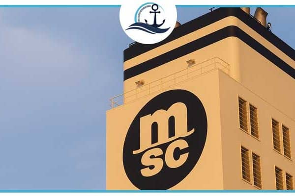MSC’s secondhand fleet frenzy hits 461 ships