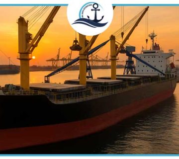 Plan Your Bulk Cargo Schedule Smartly in Dubai