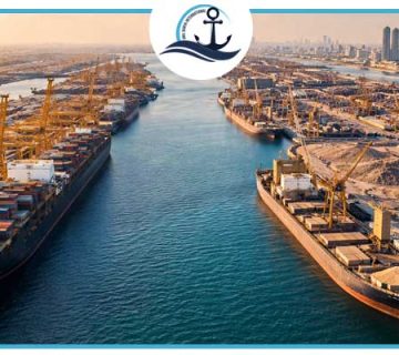 Dubai Port Comparison: Jebel Ali vs Sharjah