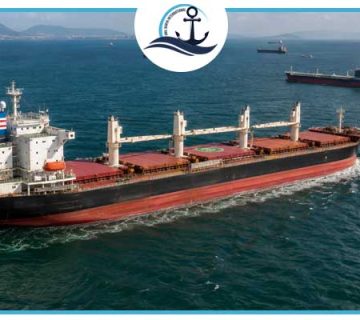 Dry Bulk Market Strengthens as Baltic Index Jumps 14%